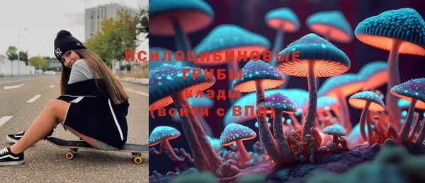 гашиш Касимов