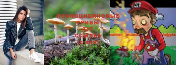 прущая мука Карпинск