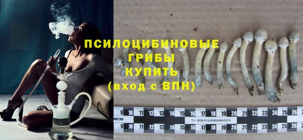 прущая мука Карпинск